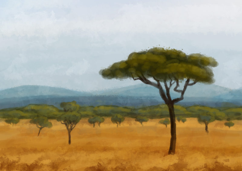 African Plains African Plains