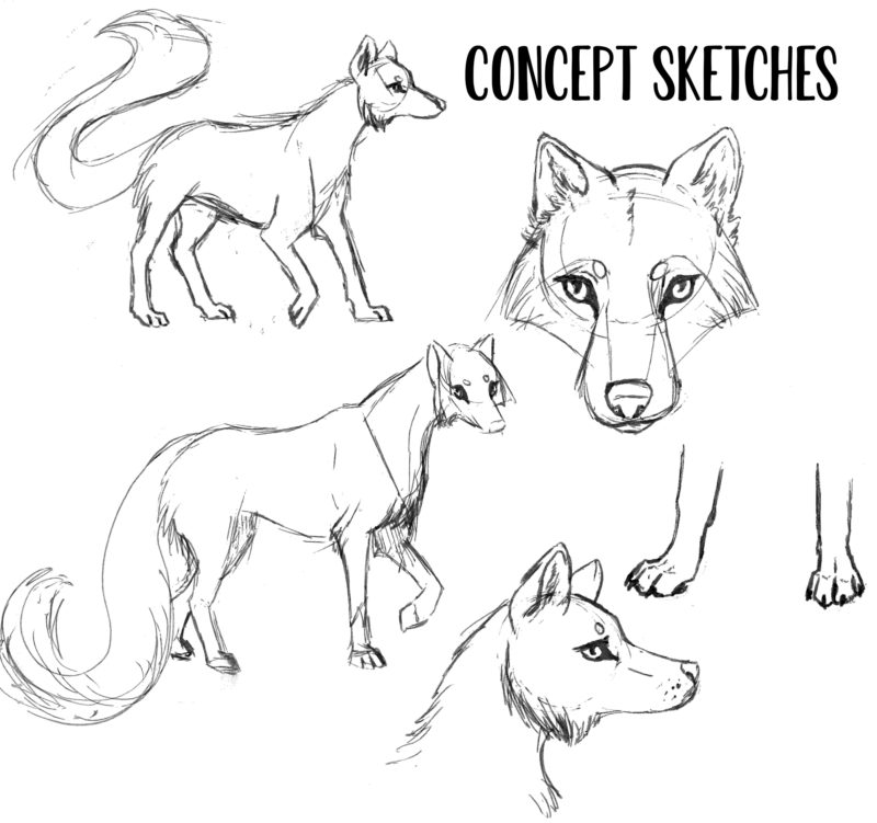 Wolf Sketches Wolf Sketches